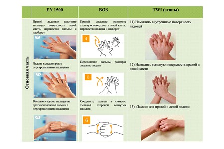 Сайт гигиен тест. Европейский стандарт обработки рук en-1500. Гигиеническая обработка рук Ен 1500. Гигиеническая обработка рук Европейский стандарт en 1500. Ен 1500 обработка рук алгоритм.